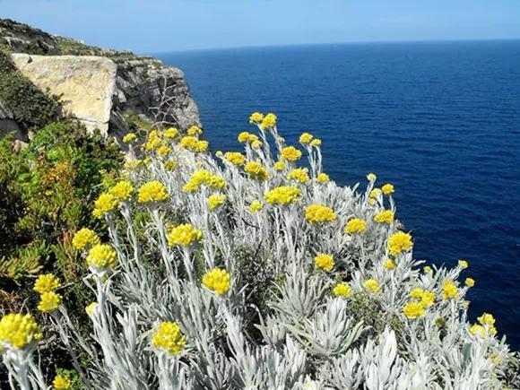 La Ciaccia - L'Elicriso - Profumi Di Sardegna Apartamento Valledoria  Exterior foto